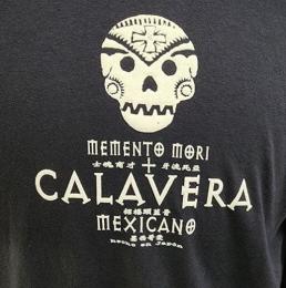 24T-CV101LS : L/S-TEE / CALAVERA