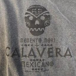24T-CV101LS : L/S-TEE / CALAVERA